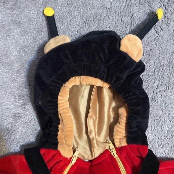Winnie the Pooh Bumblebee Costume Disney Store Size 18-24 Months Halloween - Picture 12 of 12